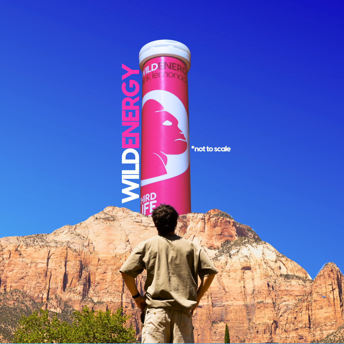 WildEnergy