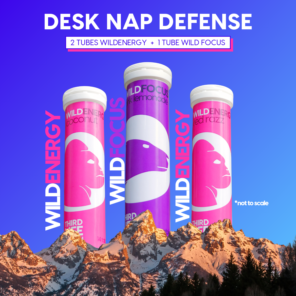 Desk Nap Defense bundle: two WildEnergy tubes and one Wild Focus tube standing in the mountains