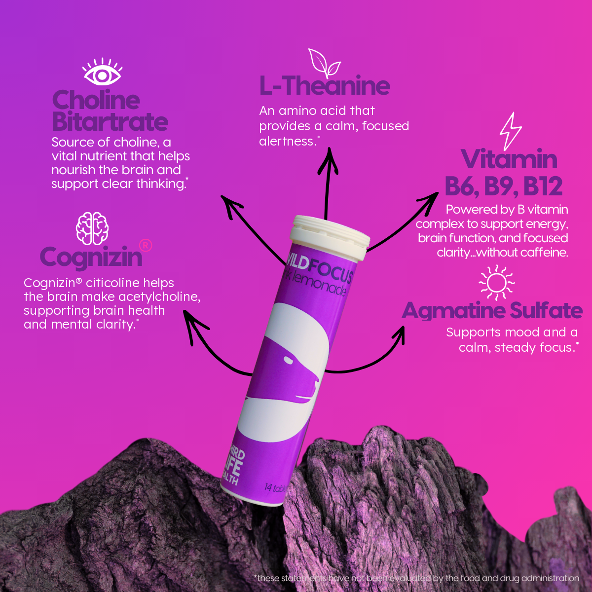Wild Focus ingredients: Cognizin citicoline, L-theanine, choline, B vitamins, agmatine