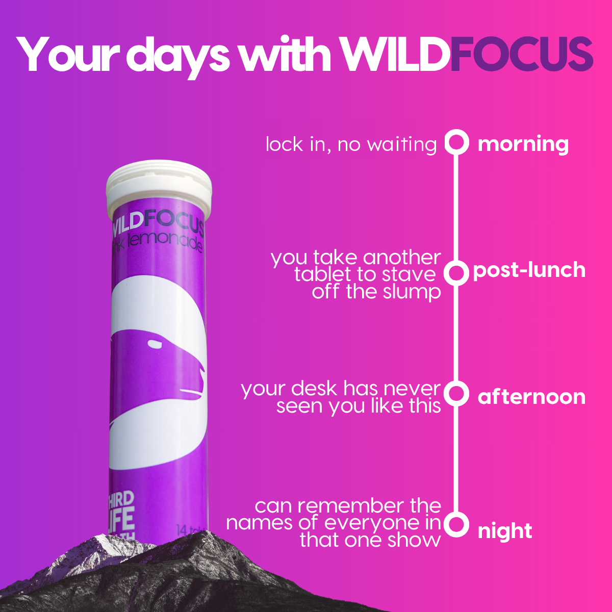 Your days with Wild Focus: morning, post-lunch, afternoon, night